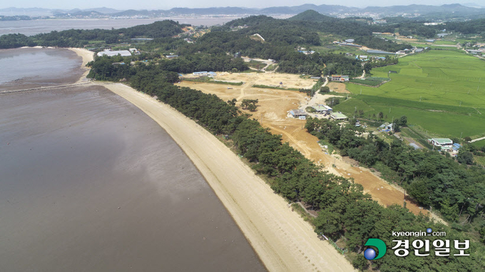 화성시 서신면 궁평리 해변 해송지대가 해변에서 모래가 빠져나가고 침식되면서 해송의 뿌리가 지표면에 돌출되는 등 훼손이 진행되고 있는 것으로 나타났다. 사진은 크기가 줄어들고 있는 화성시 서신면 궁평리 해변과 해송지대. 2021.8.17 /김도우기자 pizza@kyeongin.com