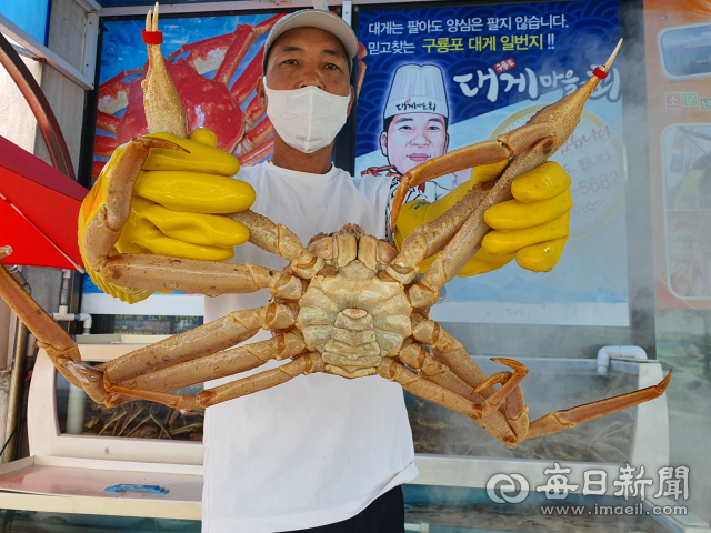 포항 구룡포 대게거리는 어디를 가도 맛집임을 보장한다. '대게마을' 김영철(53) 사장이 수족관의 대게를 들어 보이며 "바로 앞에서 직송이니 신선하지 않을 턱이 없다"고 자랑을 늘어 놓는다. 신동우기자