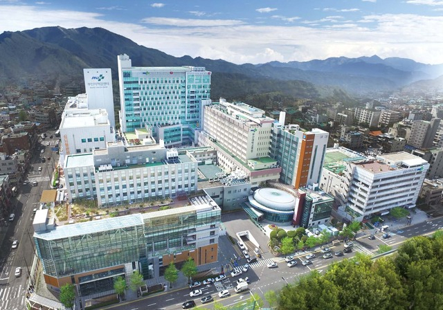 부산대 병원 전경. 부산일보DB
