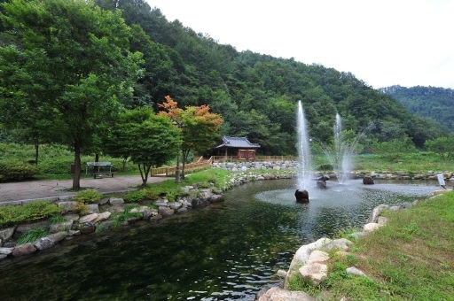 가을 풍경이 일품인 평창 효석문학100리길.