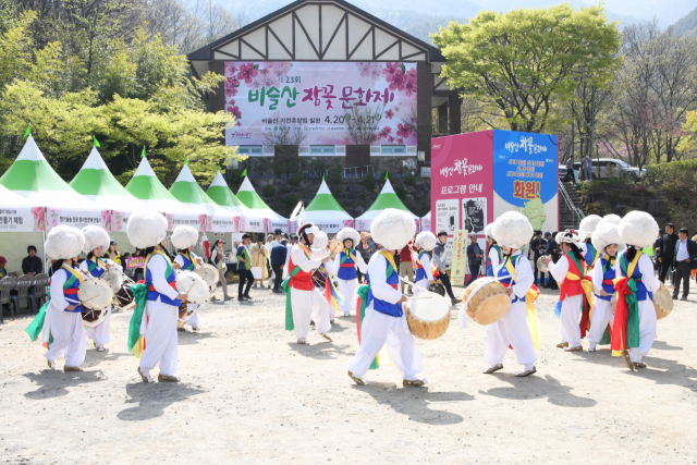 대구 달성군은 비슬산(해발 1,084m) 정상 참꽃 군락지에서 매년 4월 비슬산참꽃문화제를 펼치고 있다. 달성군 제공