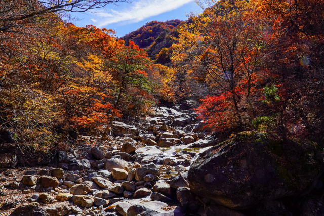 지리산 칠선계곡 비선담에서 바라본 단풍. 지리산국립공원 제공