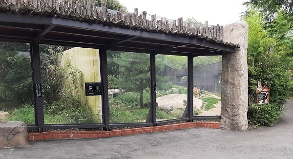 전주동물원 호랑이사.
