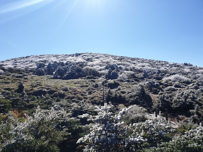 17일 한라산 정상부근에 핀 상고대 모습. 사진=한라산국립공원관리소 제공