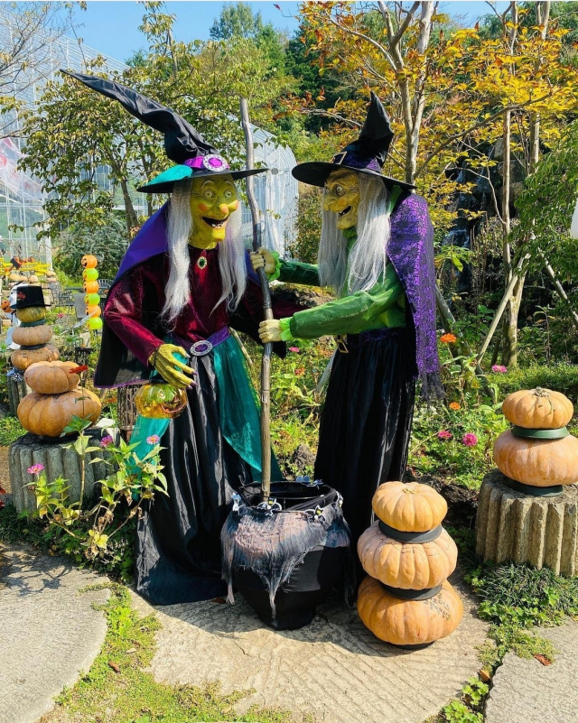 핼러윈 분위기로 꾸민 진해 보타닉뮤지엄./진해보타닉뮤지엄/