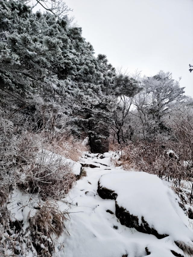 10일 지리산 천왕봉~장터목 간 설경. 지리산국립공원경남사무소 제공