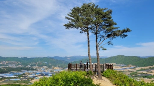 DMZ펀치볼둘레길.