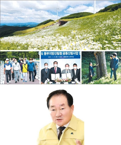 평창의 대표적 관광명소로 인기를 끌고있는 미탄면 청옥산 육백마지기(맨 위 사진부터 시계 방향). 한왕기 평창군수가 산림자원 스토리텔링을 위해 송진채취목 현지확인을 실시했다. 평창군과 동부지방산림청의 ‘공동산림사업 업무협약' 체결 모습. 평화길 비대면 건강걷기대회가 올 7월 바위공원 일원에서 열렸다.