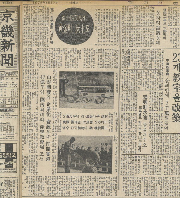 1976년 4월 경인일보(당시 경기신문)에 실린 용인자연농원 개장 관련 기사.