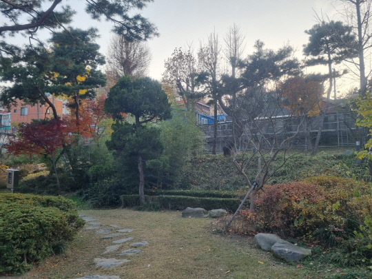 22일 테미오래 1호 관사 뒤편에 심어진 일부 수목들의 생육 상태가 고르지 못한 가운데 황량한 분위기를 자아내고 있다. 인근 주민은 과거 이 곳에 야생화가 식재돼 경관이 지금보다 풍성했다고 설명했다. 이태민 기자