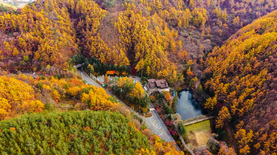 대전 동구 만인산 자연휴양림 전경. 사진=대전 동구 제공