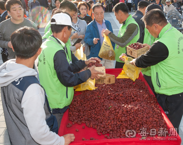 경산대추의 우수성을 알리고 소비 촉진을 위해 2006년부터 경산대추축제가 열리고 있다. 경산시농업경영인회 제공