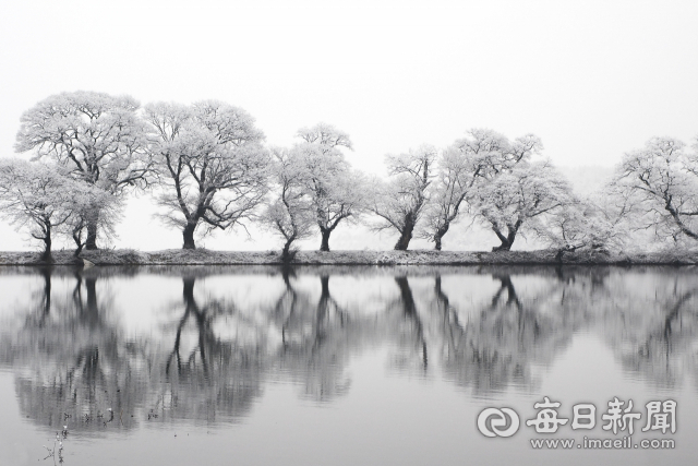 눈 내린 반곡지의 설경. 경산에는 눈이 자주 내리지 않아 사진작가들의 작품으로 감상할 수 있다. 서하복 사진작가 제공