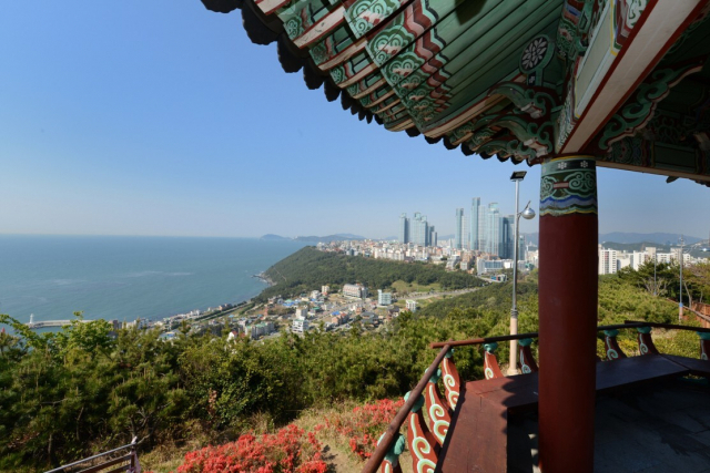 해운대 달맞이길 해월정에서 바라본 풍경./해운대구청/