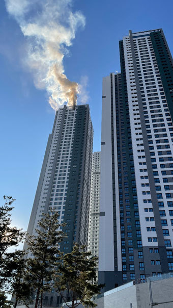 사진=독자제공
