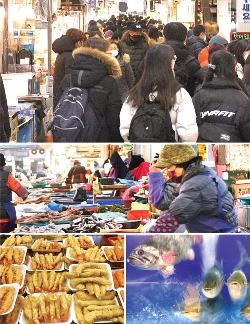 속초관광수산시장을 찾은 관광객들이 맛집을 둘러보며 물건을 사고 있다(맨 위 사진부터 시계 방향). 시장 상인들이 수산물을 손질하고 있다. 수족관의 싱싱한 생선들. 저렴하고 뛰어난 맛으로 인기를 끌고 있는 새우튀김. 사진=신세희기자 and8729@kwnews.co.kr