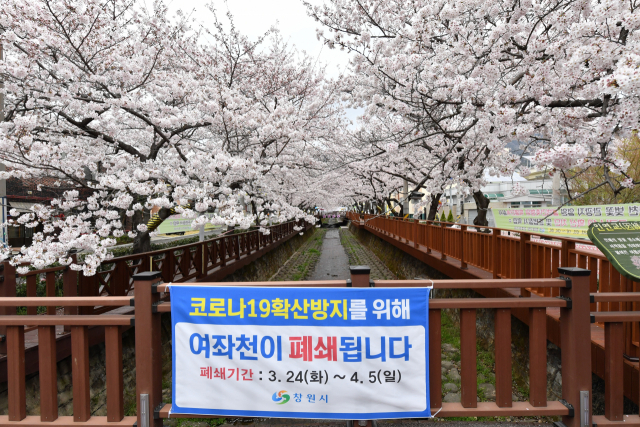 진해 여좌천. /경남신문DB/