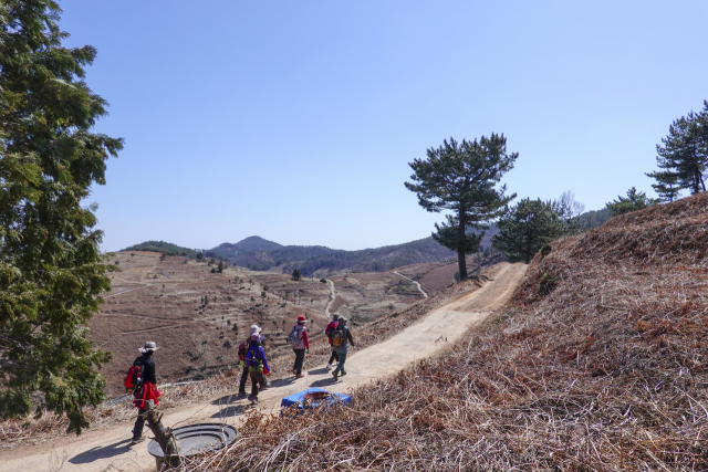 3월 남해 바래길의 고사리밭길 구간을 걷는 탐방객들. 남해군 제공
