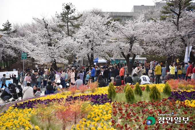 2019년 경기도청 봄꽃축제 모습./경기도 제공