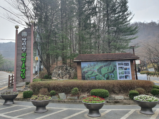 대전 만인산 자연휴양림. 사진=대전시 제공