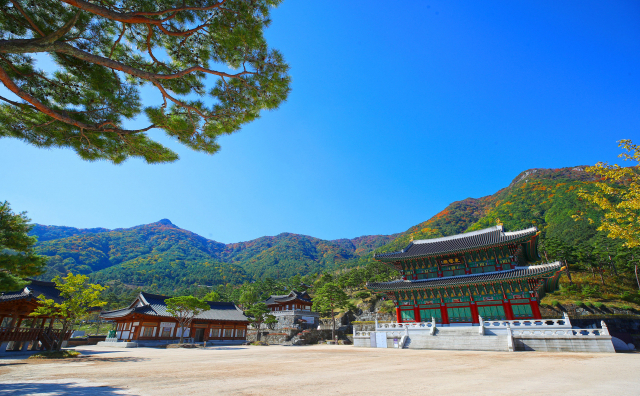 산청 동의보감촌./산청군/