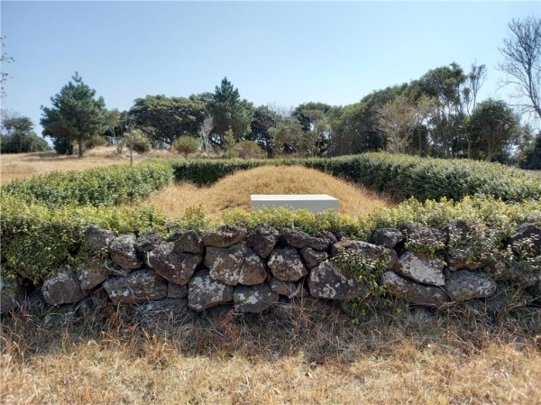 고부이씨 입도조 이세번 묘.