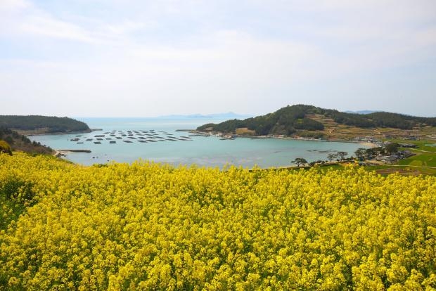 완도 청산도 서편제길. <전남도 제공>