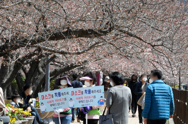 코로나19 확산세로 진해 군항제가 3년 연속 취소된 가운데 지난 3월 27일 오전 창원시 진해구 경화역 일대에서 방역담당 관계자들이 상춘객들의 마스크 착용을 당부하는 손팻말을 들고 있다./경남신문 자료사진/