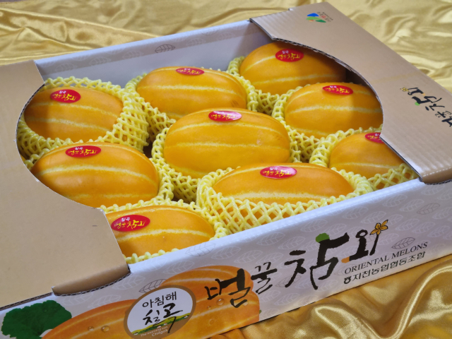 벌꿀참외