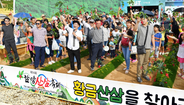 함양산삼축제./함양군/