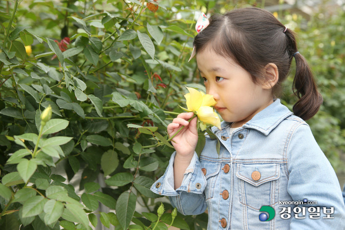 2022 고양국제꽃박람회가 22일부터 26일까지 5일간 일산호수공원 고양꽃전시관에서 개최된다. 사진은 지난 2019년 고양국제꽃박람회 어린이 체험광경. /고양국제꽃박람회 제공
