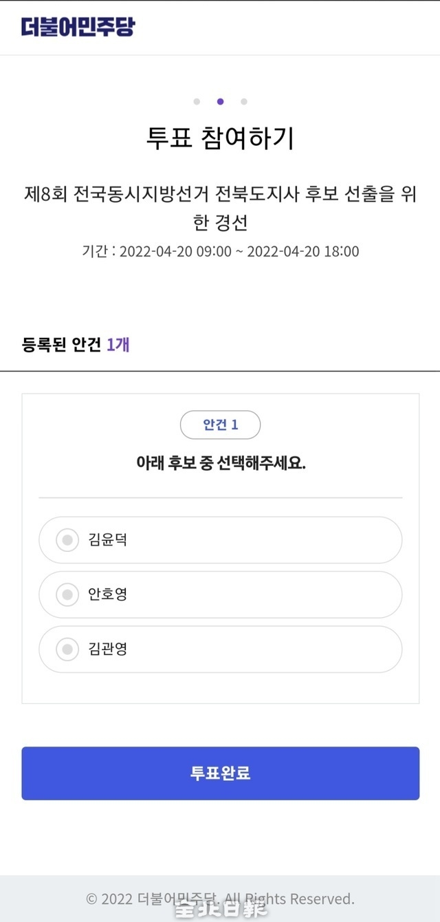 지난 20일 진행된 더불어민주당 온라인 국민참여경선/더불어민주당 캡쳐