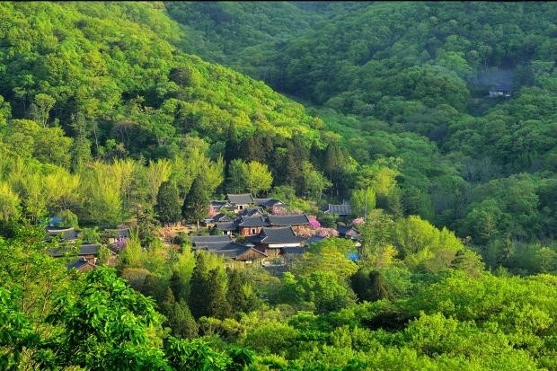 순천 조계산을 배경으로 자리한 선암사는 주변 경관과 조화롭게 어우러져 아름답기 그지없다.
