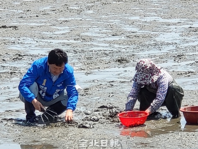 16일 부안 위도를 찾은 더불어민주당 김관영 전북지사 후보가 어민과 바지락을 캐고 있다. 사진=김윤정 기자 