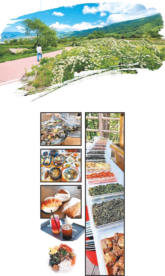 ① 양구 ‘석장골오골계식당'의 오골계 숯불구이. ② 웰빙먹거리타운 내 위치한 ‘시래정'의 시래기 한정식. ③ 베이커리카페 ‘배꼽제빵소'의 빵과 음료. ④ DMZ펀치볼둘레길 프로그램에서 제공하는 ‘숲밥'.
