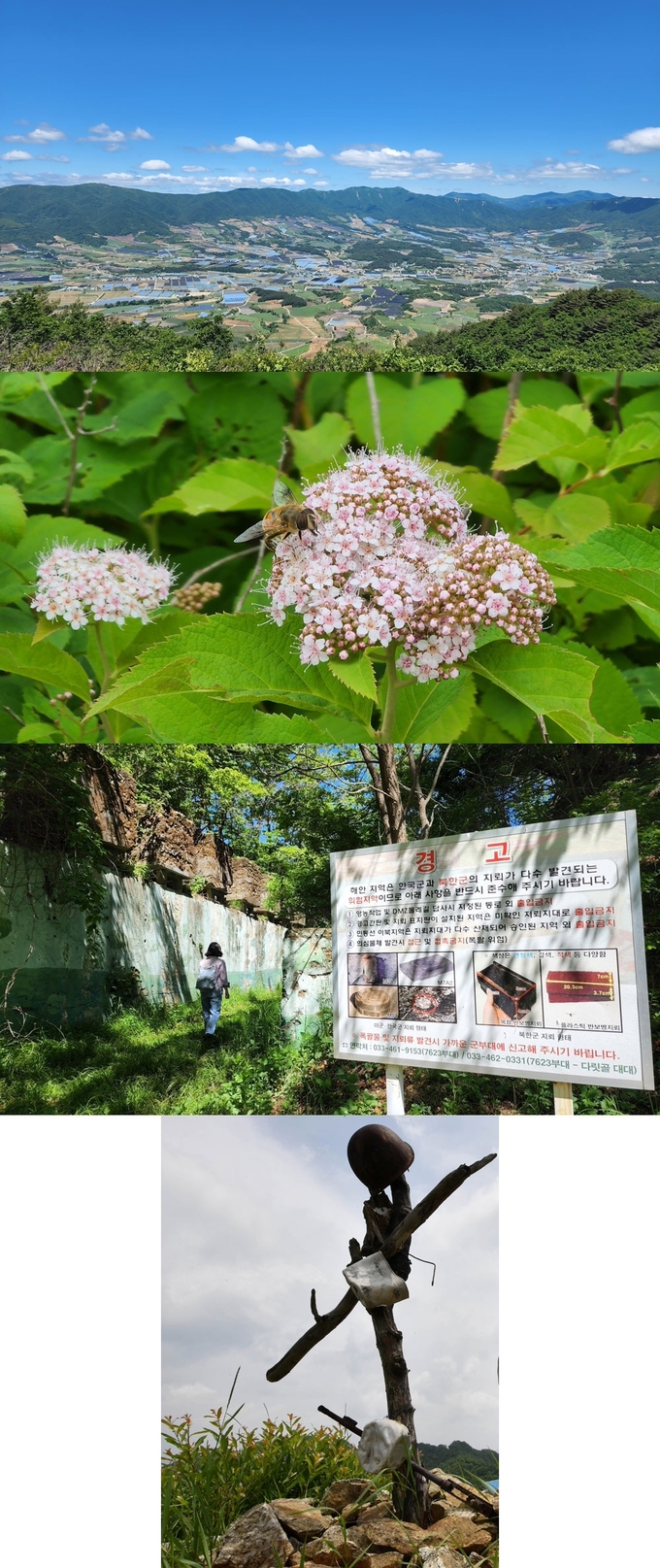 6·25전쟁의 흔적과 천혜의 자연이 함께 담겨 있는 DMZ 펀치볼 둘레길(위쪽 사진). DMZ지역의 희귀·특산식물을 보전하고 있는 DMZ자생식물원. 사진=신세희기자