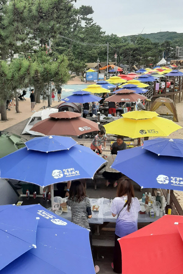 지난 18일 오후 인천 옹진군 영흥면 장경리해수욕장 캠핑장을 찾은 관광객들이 캠핑을 즐기고 있다. 2022.6.18 /독자 제공
