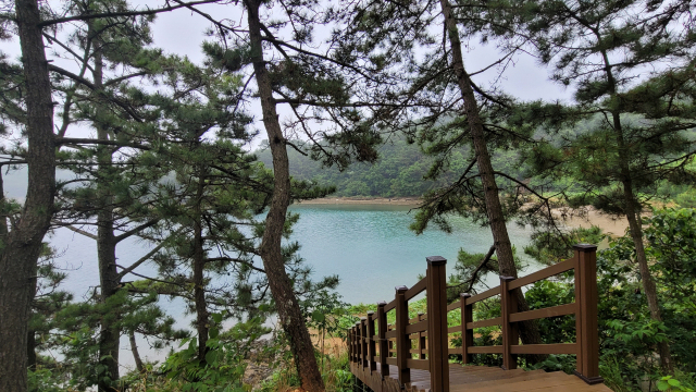 저도 비치로드 둘레길에서 해변으로 가까이 내려갈 수 있다.