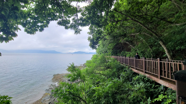경남 창원시 마산합포구 구산면의 ‘저도 비치로드’는 바다 풍경을 즐기고 바닷바람을 맞으며 시원하게 걸을 수 있는 길이다.