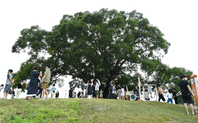 24일 오후 창원시 의창구 대산면 동부마을 일대가 ENA채널 드라마 ‘이상한 변호사 우영우’의 촬영지로 유명해지면서 관광객들로 붐비고 있다./성승건 기자/