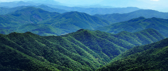 칠갑산