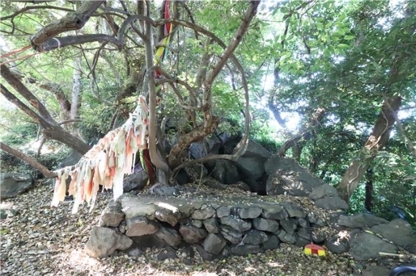 대포 본향당. 주민들은 당신(堂神)에게 빌면 생육·산육·치병이 이뤄지는 영적 공간으로 여겼다.