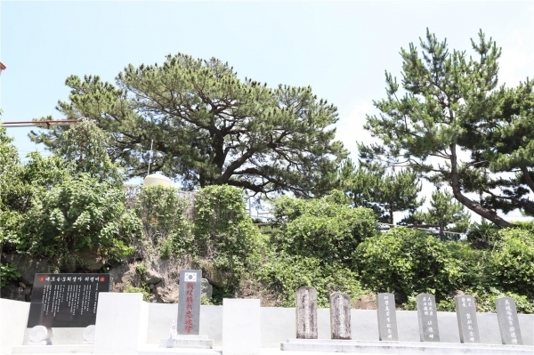 큰솔동산의 사단고송.