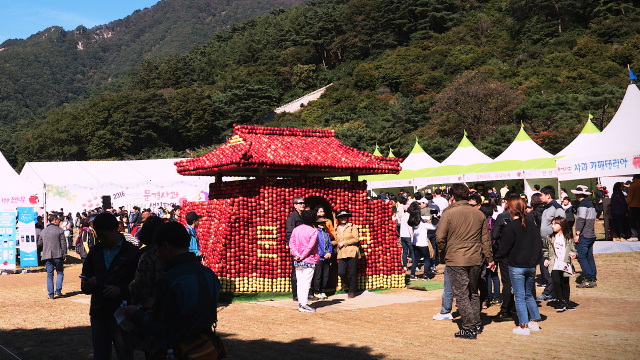 문경사과축제. 경북도 제공