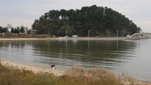 ◇문화예술공간 ‘대추무파인아트’에서 이창훈작가는 남대천 강물을 재료로 사용한 작품을 전시한다.