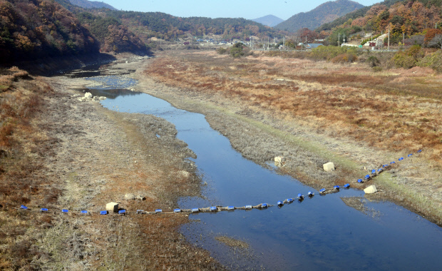9일 오후 화순군 사평면 주산리 주암호, 유례 없는 가뭄으로 저수량이 줄어든 탓에 바닥을 드러낸 상류의 수풀마저 바싹 마른 상태로 시들어가고 있다. /나명주기자mjna@kwangju.co.kr