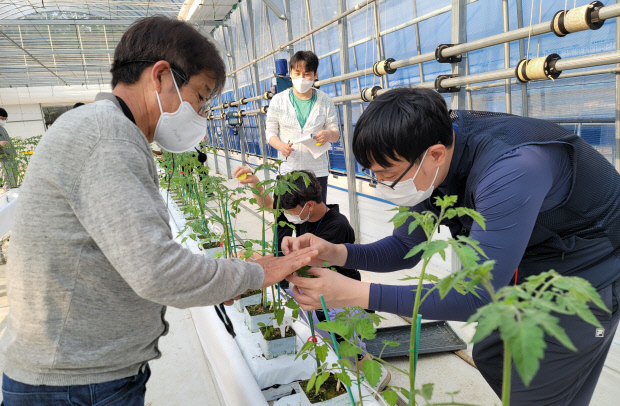광주·전남·전북 만19~39세 농촌 청년의 가구당 평균 자산규모는 1억6985만원으로, 전국 농촌 청년 평균(1억8401만원)보다 1416만원가량 적었다. 농협 청년농부사관학교 교육 모습.<광주일보 자료사진>