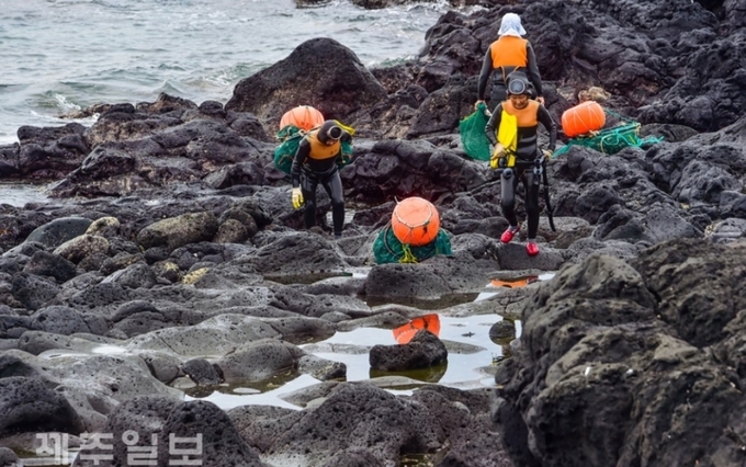 제주 해녀. 제주일보 자료사진