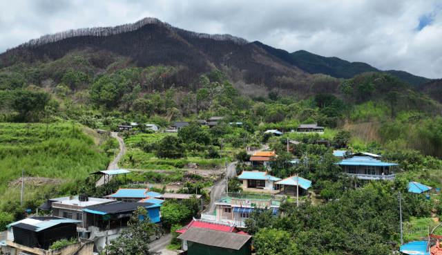 지난 26일 오후 산청군 시천면 외공마을의 산림이 지난 3월 21일 발생한 산불로 시커멓게 탄 채 그대로 남아 있다.