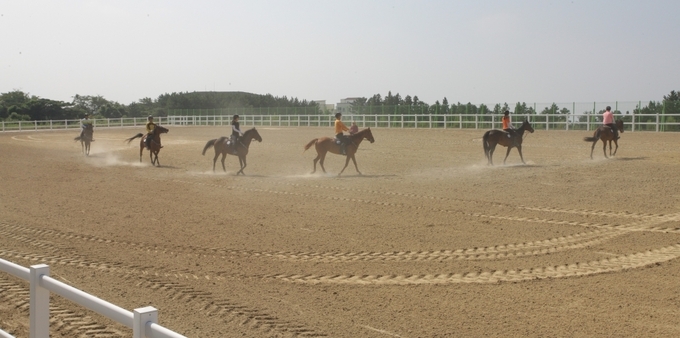 제주대학교 승마경기장에서 청소년들이 승마 훈련을 하고 있다.